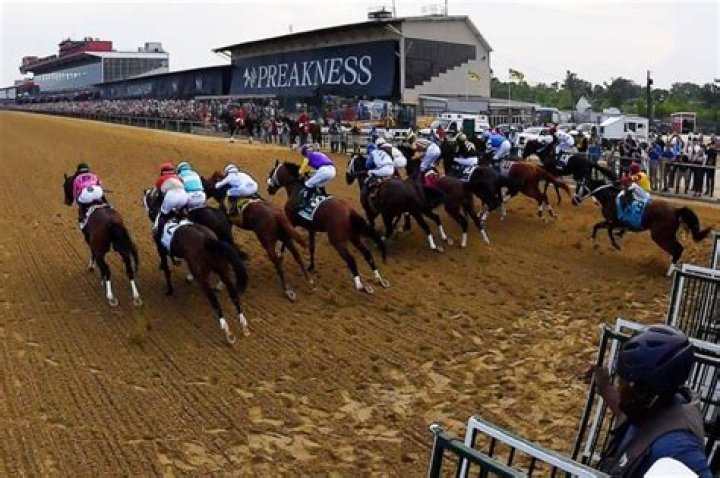 2019 Preakness Stakes — PICS