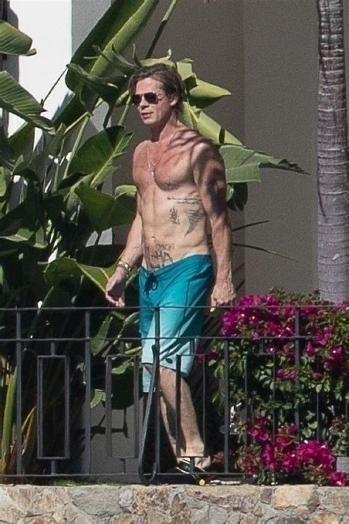 Brad Pitt Goes Shirtless & Shows Off His Back Tattoos While Snorkeling – Hollywood Life