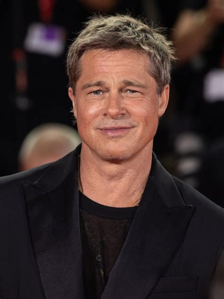 Brad Pitt’s Alleged Fight Caught On Film & There’s No Physical Contact — Report