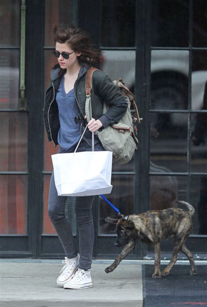 Kristen Stewart & Robert Pattinson Have Sweet Skype Session With Dogs