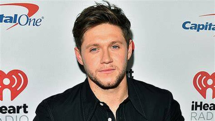 Niall Horan Hooking Up With Sexy Brazilian Singer Anitta