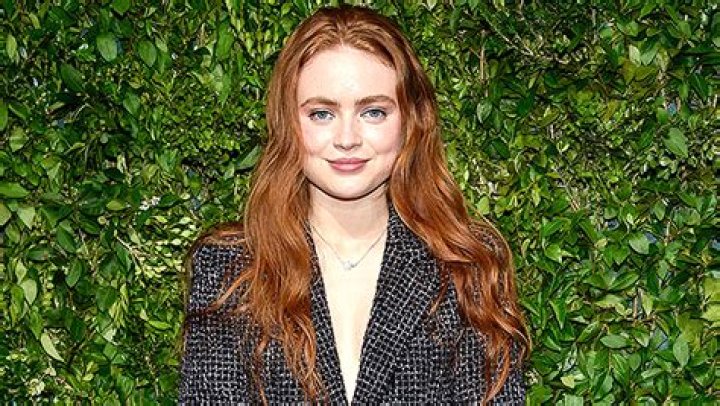 Sadie Sink Hints Max Survives Season 4 Finale – Hollywood Life